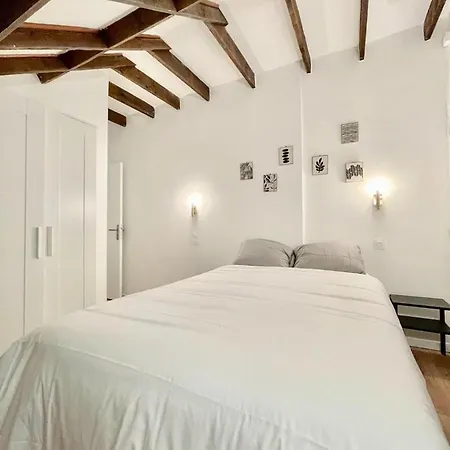 Bonne Graine : Parisien Branche A 10 Min De Bastille Apartment Paris